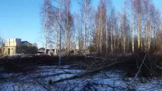 Расчистил участок от кустарника и деревьев в одного за 1 день