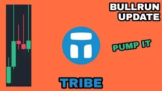 TRIBE BULLRUN UPDATE‼️ TRIBE COIN REALISTIC PRICE PREDICTION‼️ TRIBE NEW PRICE TARGET‼️ PUMP IT