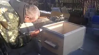 Покраска улья