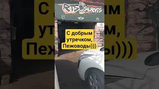 НАШЕ ОБЫЧНОЕ УТРО😜