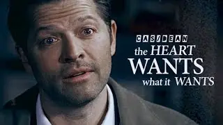 Cas/Dean | The Heart Wants What It Wants [+15x18]