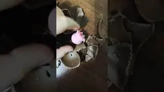 это кто эт осменог