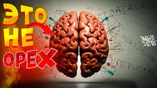 Я ХОЧУ ЧТОБЫ ТВОИ🤯МОЗГИ РАБОТАЛИ 
