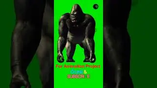 Gorilla in idle position 