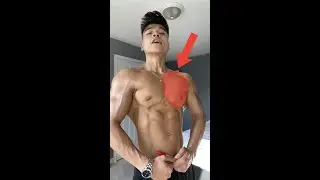 ARE YOU A BEGINNER TRYING TO GROW YOU CHEST AT HOME?