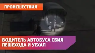 Водитель автобуса №51 в Оренбурге сбил пешехода и уехал