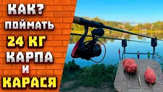 Рыбалка на ФЛЭТ ФИДЕР КАК поймать много КАРПА и КАРАСЯ