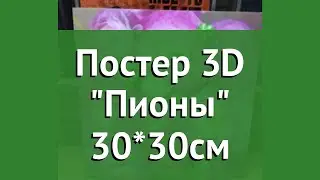 Постер 3D Пионы 30*30см обзор 37746 4606030400535 бренд производитель