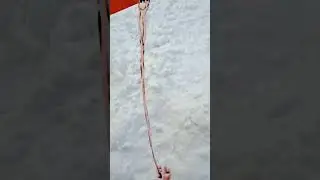 ХОЧЕШЬ УДИВИТЬСЯ? Смотри. что льют в бензопилы 