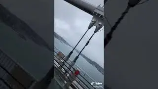 Bilalgrass yeni TikTok videosu 