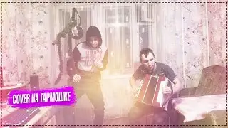 Мэвл - Патамушка это лучший кавер на гармошке