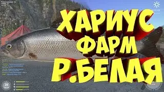 река Белая ФАРМ ДЕНЕГ И ОПЫТА ХАРИУС Русская Рыбалка 4