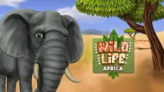 #PetWorld