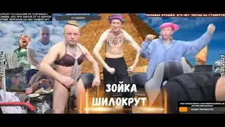 ЗОЙКА ШИЛОКРУТ | КЛИМ,БУБОН,ПОДЛИВА