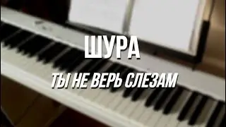 шура - ты не верь слезам / piano cover