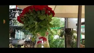 Я то протрезвею, а тебя, Хось, уже не исправить НИКАК!