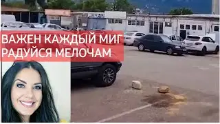 КРЫМ/ЯЛТА пошла в автошколу