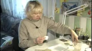 Посев капусты на рассаду
