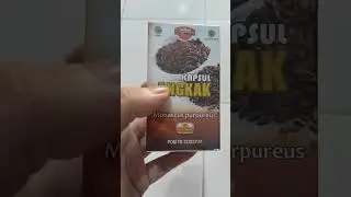 Kapsul Angkak At Thoifah Vitamin Obat Tipes