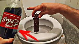 ЧТО БУДЕТ ЕСЛИ КАКАШКУ ПОЛОЖИТЬ В КОКА-КОЛУ НА 24 ЧАСА