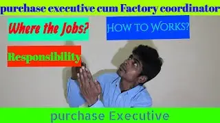 What is the Responsibility of the Purchase Executive cum factory coordinator? How? Way? Where?