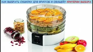 Как выбрать сушилку (дегидратор) для фруктов и овощей. Функционал, виды и критерии выбора
