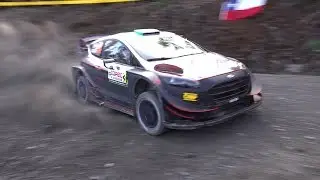 Day 3 - Rally Chile 2019 - L. Bertelli / S. Scattolin - Ford Fiesta WRC+