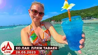 Чил на Ко Лане 🔴 Паттайя LIVE (Таиланд)