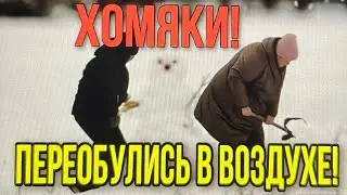 ЧТО СЛУЧИЛОСЬ С ХОМЯКАМИ?ОЛЬГА УРАЛОЧКА LIVE.