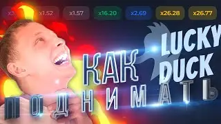 КАК ВСЕГДА ПОДНИМАТЬ на сайте LUCKY DUCK?