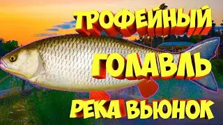 русская рыбалка 4 - Голавль река Вьюнок - рр4 фарм Алексей Майоров