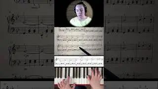 Мой ласковый и нежный зверь НОТЫ + разбор 🎹