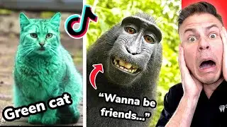 The Most Interesting Animals In The World!