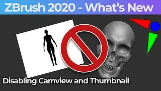 001 Zbrush 2020 Disabling Camview And Thumbnail