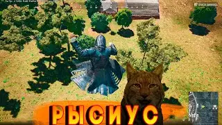 РЫСЬ В ГОРОДЕ | 