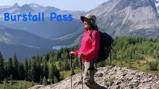 Hiking Burstall Pass Trail in Kananaskis