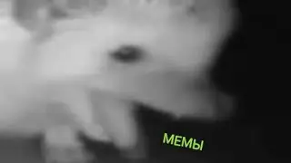 Ёжик пчихнул и попал в мир мемов!