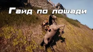 Black Desert - Как приручить лошадь