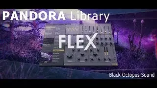 FLEX | Black Octopus Pandora Library