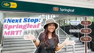 Explore around newly opened Springleaf MRT along Thomson East Coast Line | Next Stop