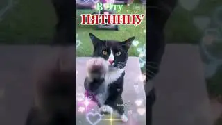 С Добрым Утром!     ПЯТНИЦА!