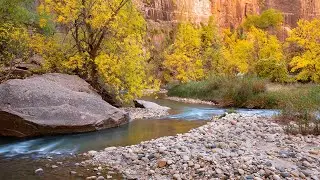 Photographing Fall Colors in Zion National Park