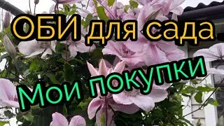 ОБИ для сада.Мои покупки.