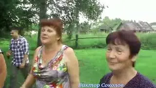 Виктор Соколов По капельке(гармонь)