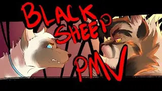 Sasha Black Sheep PMV