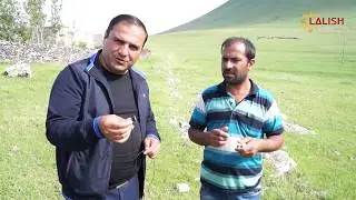 Ware Kal u Bava - Quche