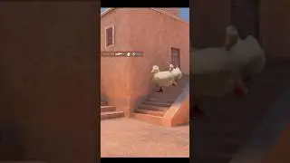 😂😂😂 
