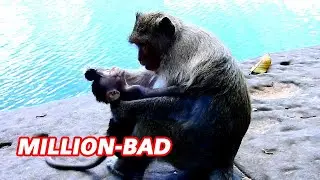MILLION BAD...!! TEARS WITH BABY PATRICIA SEE MOM...BITE.