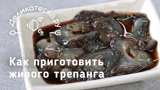 Как приготовить живого трепанга