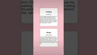 Understanding the Difference: Margin vs Padding